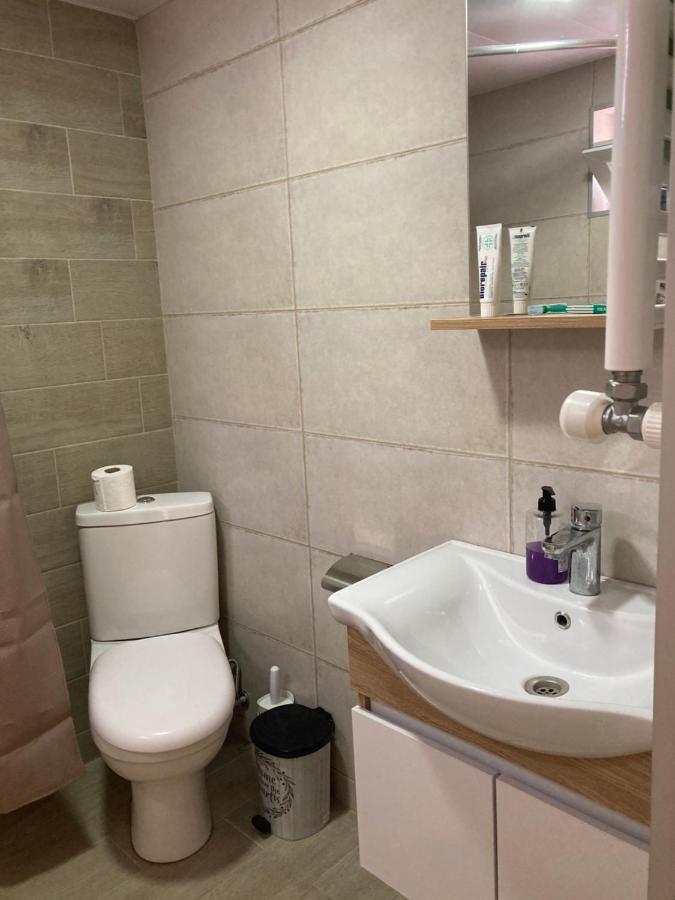 Nikas Guest House Borjomi Dış mekan fotoğraf