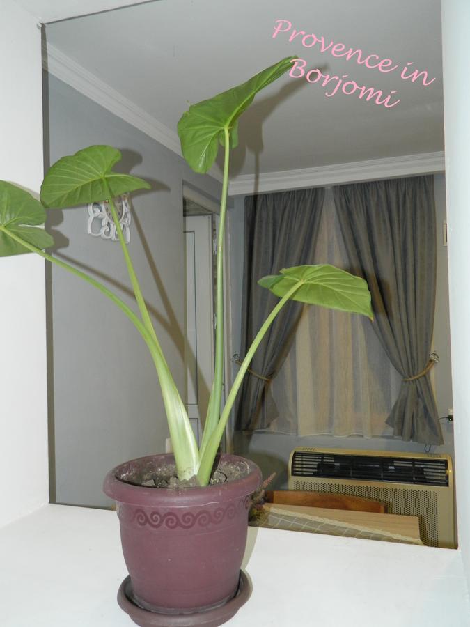 Nikas Guest House Borjomi Dış mekan fotoğraf